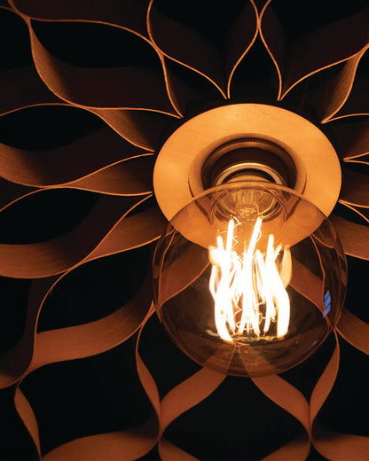 Tala Elva 6W LED Filament Light Bulb